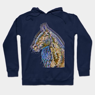 Black Beauty Hoodie